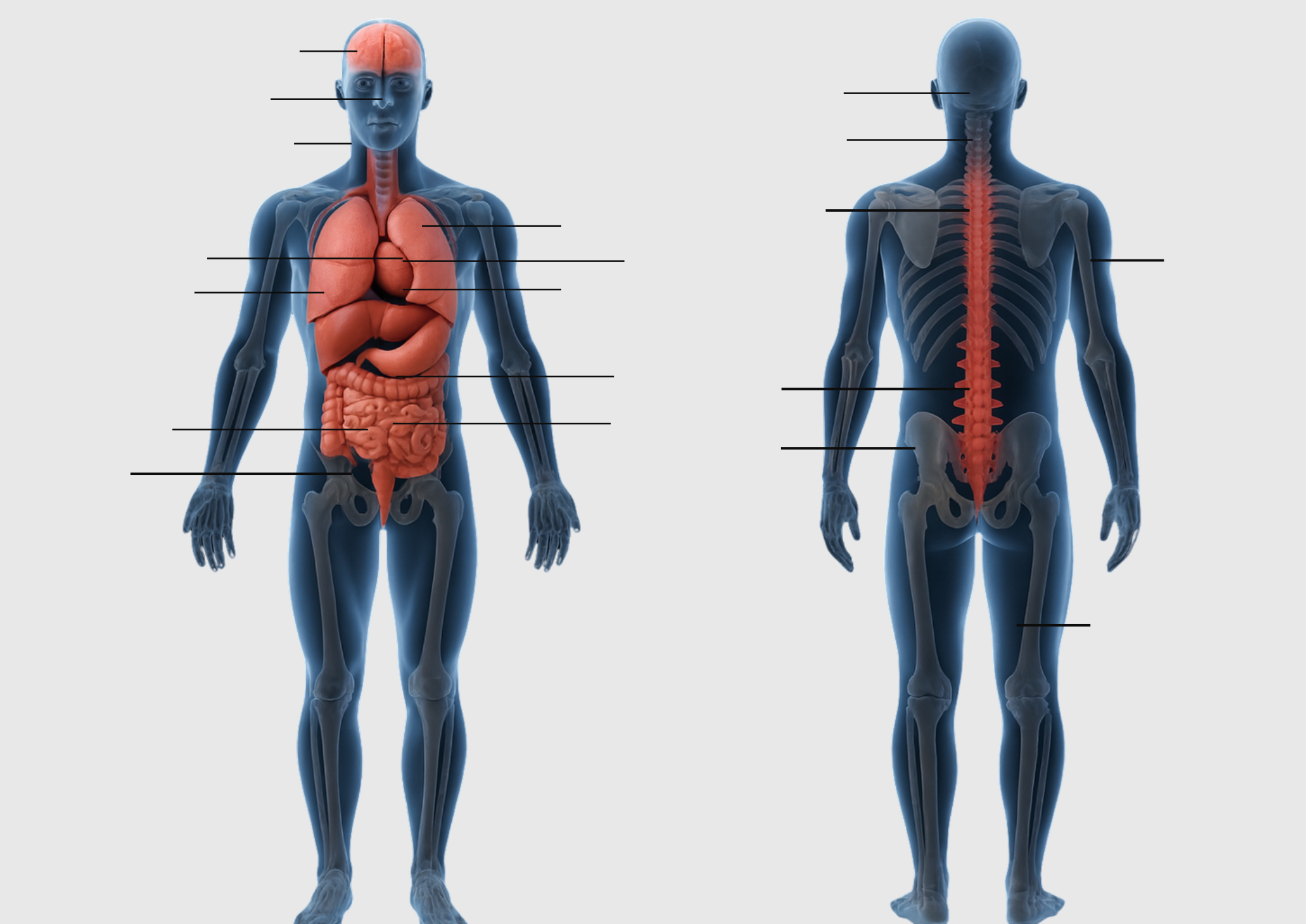 Copy-of-Untitled-Design-1-1