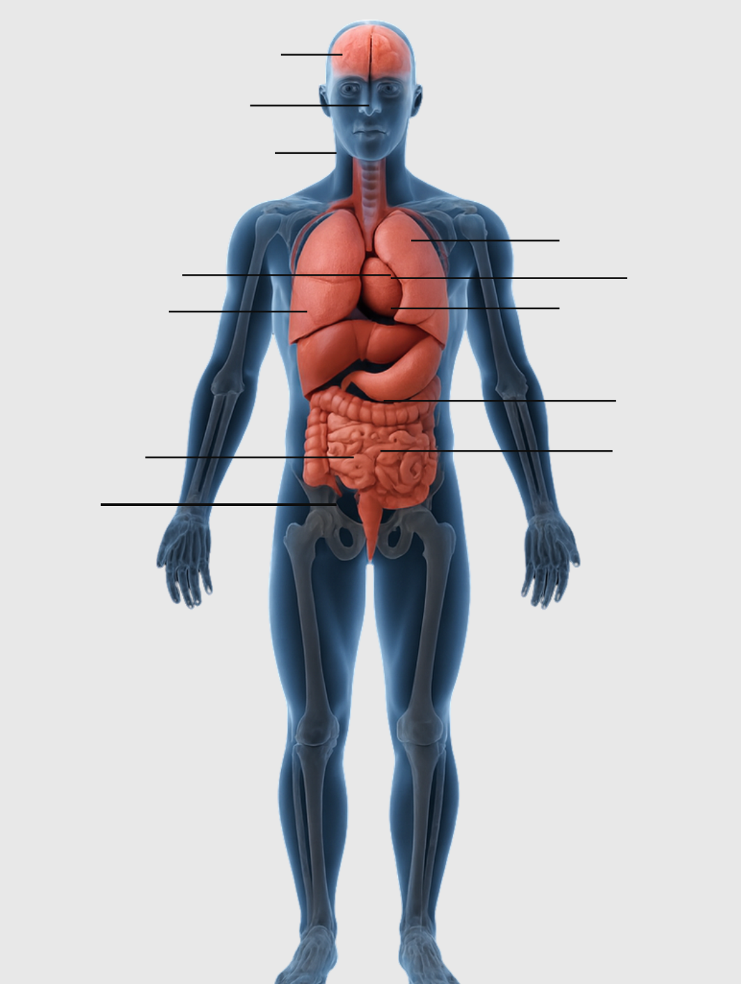 Copy-of-Untitled-Design-1-2