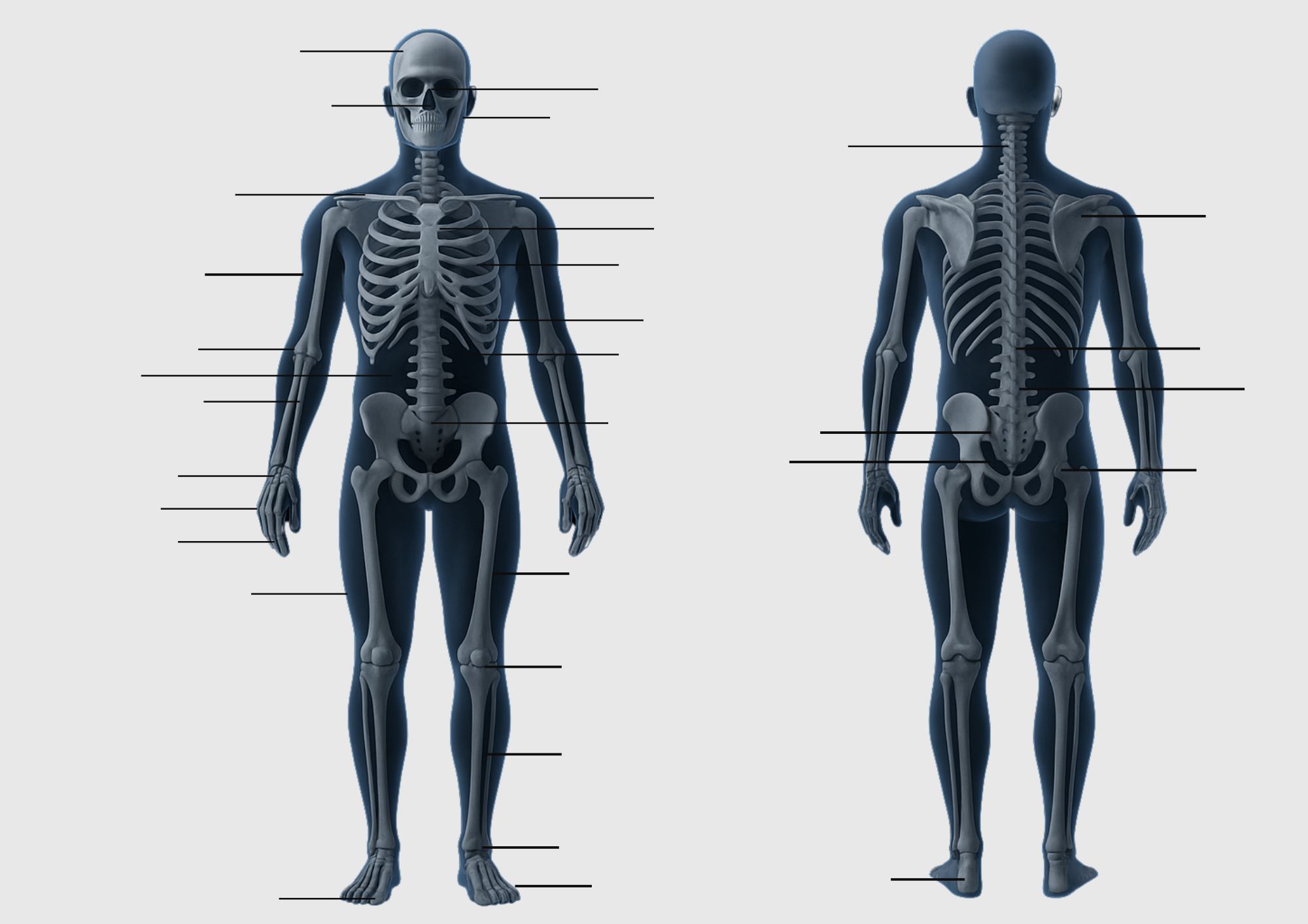 Copy-of-Untitled-Design-2-1