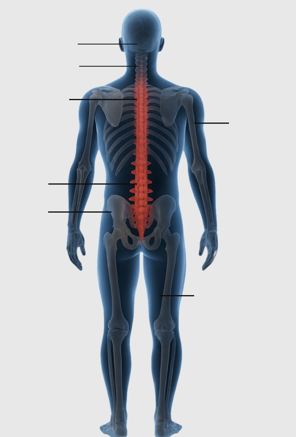 Copy-of-Untitled-Design-2