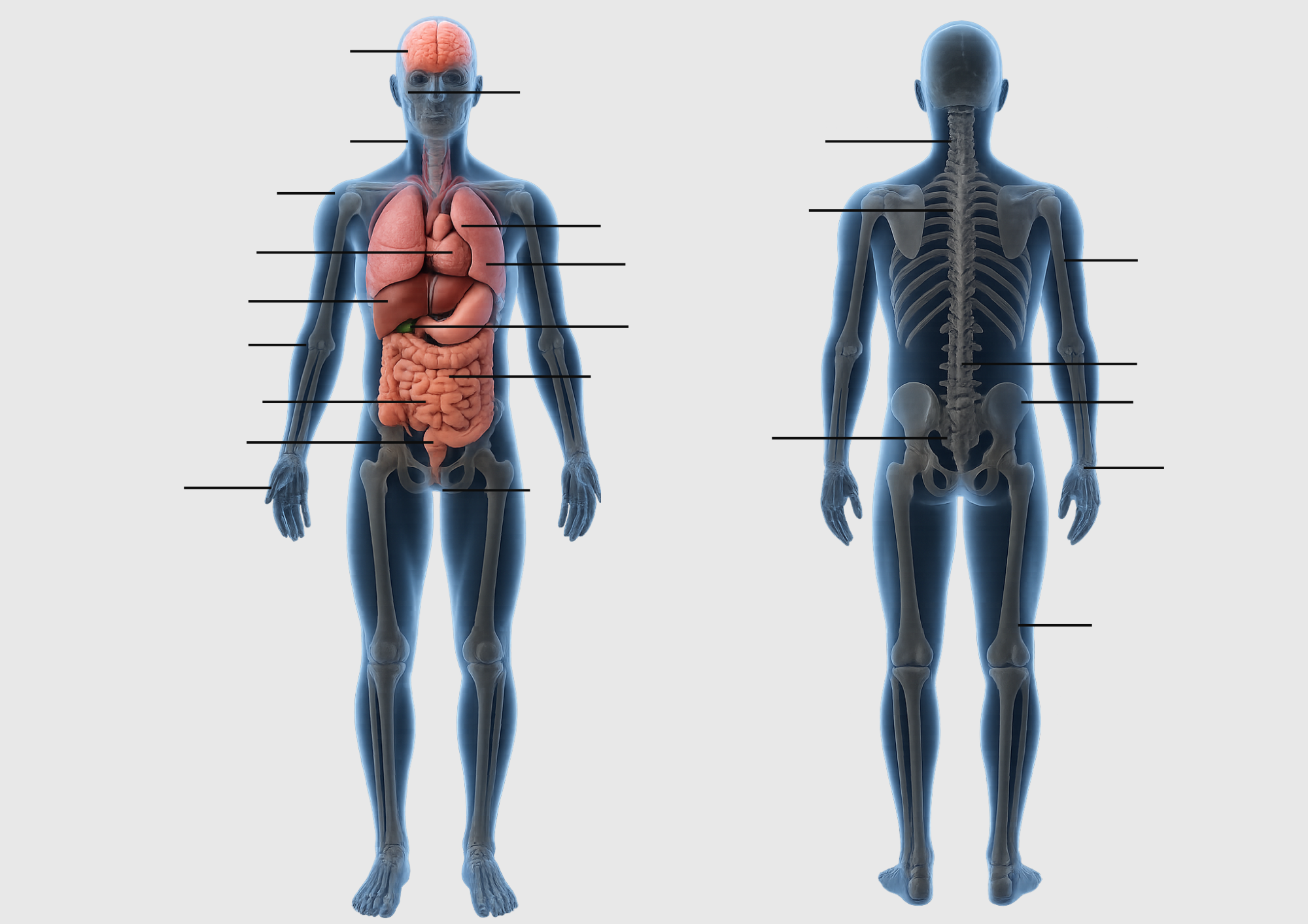 Copy-of-Untitled-Design